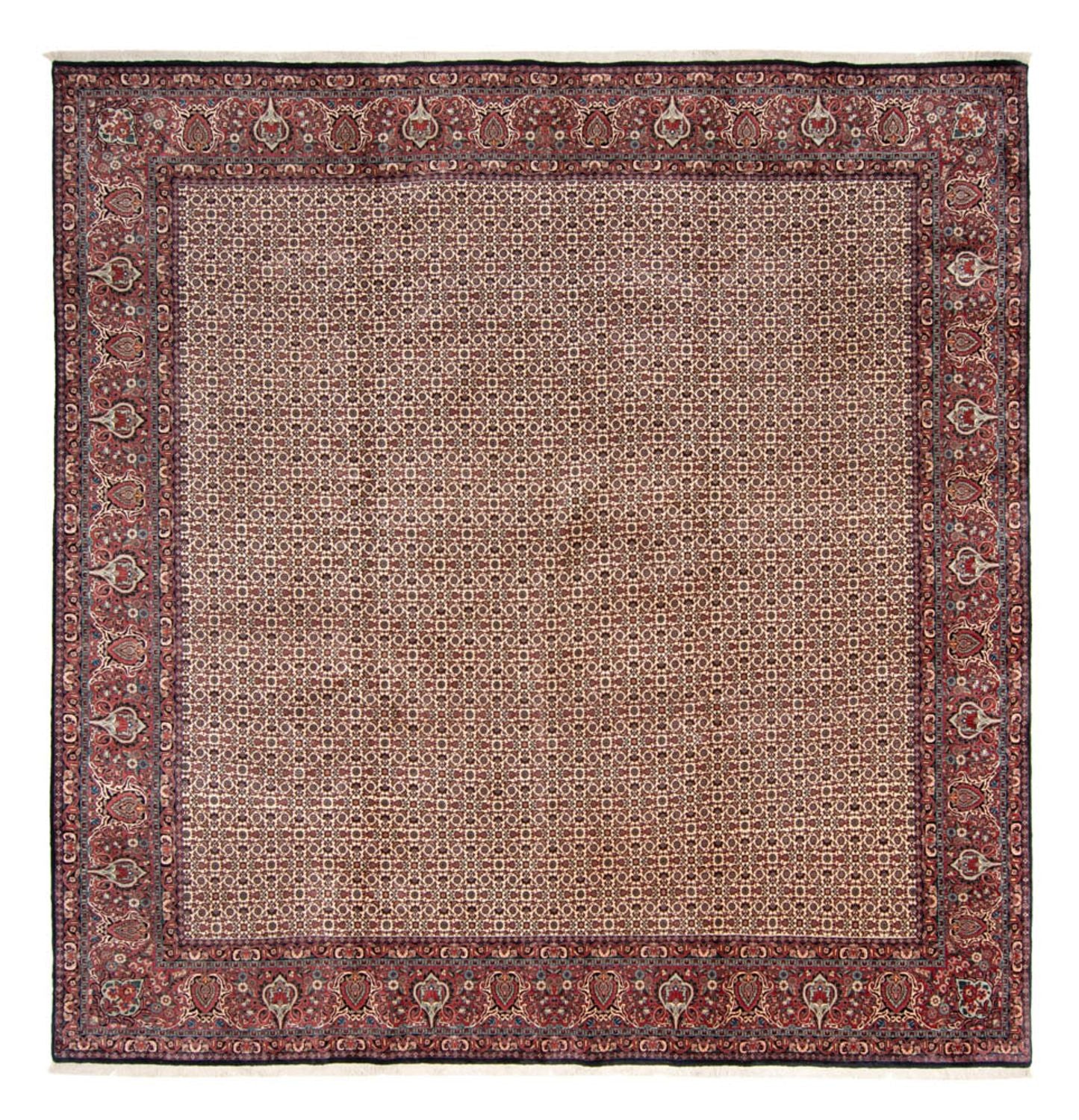 Bidjar - Takab Teppich 366x348cm - Perserteppich