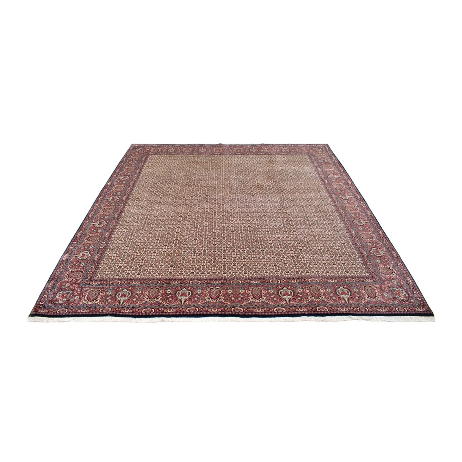 Bidjar - Takab Teppich 366x348cm - Perserteppich - Image 5