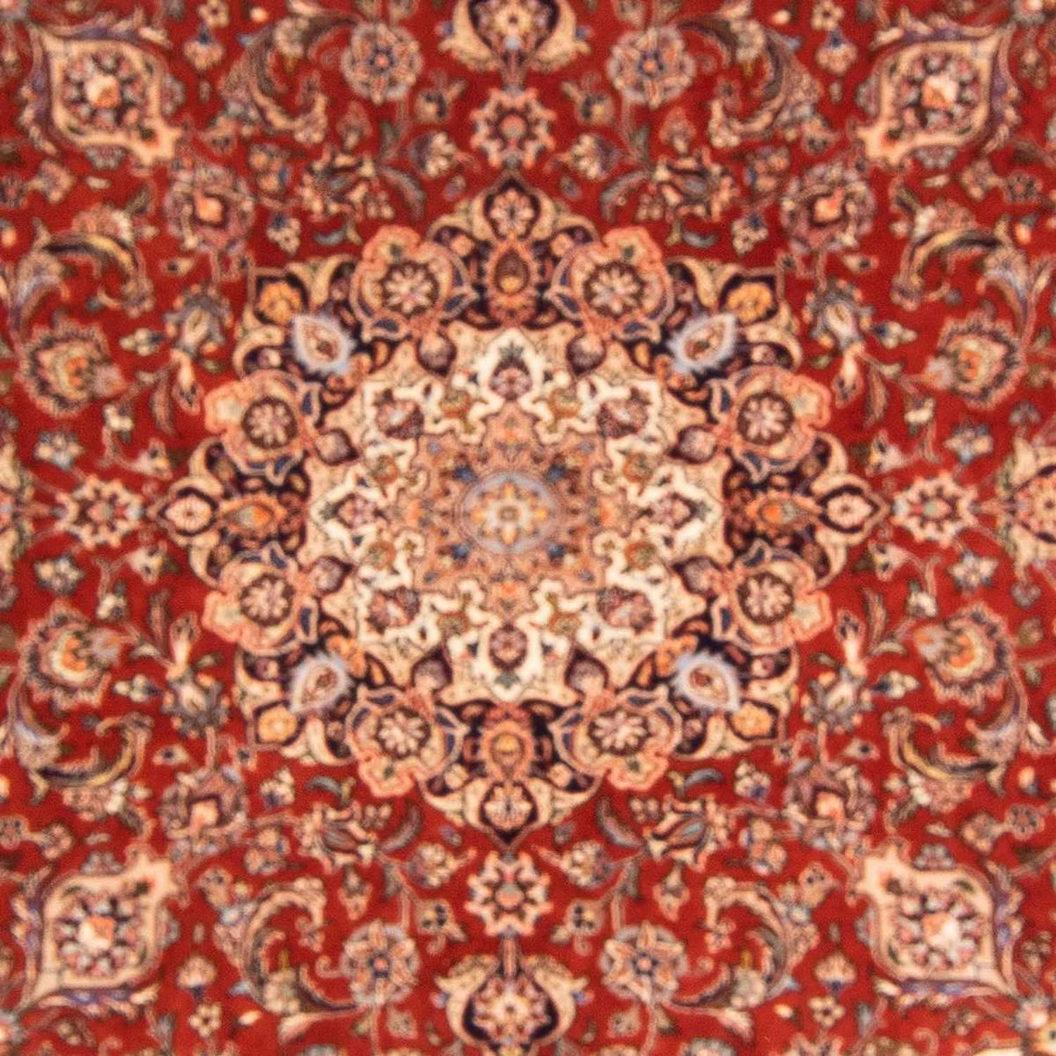 Perserteppich - Classic 247 x 245 cm - dunkelrot - Image 2