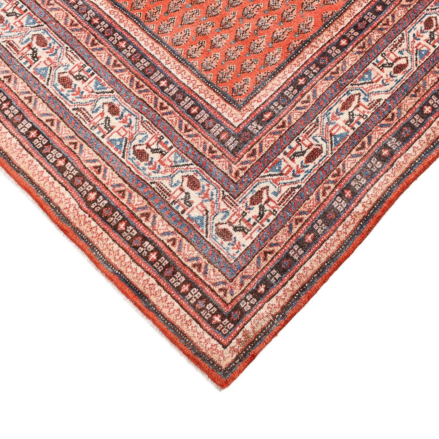 Perserteppich - Classic - 261 x 228 cm - orange - Image 2