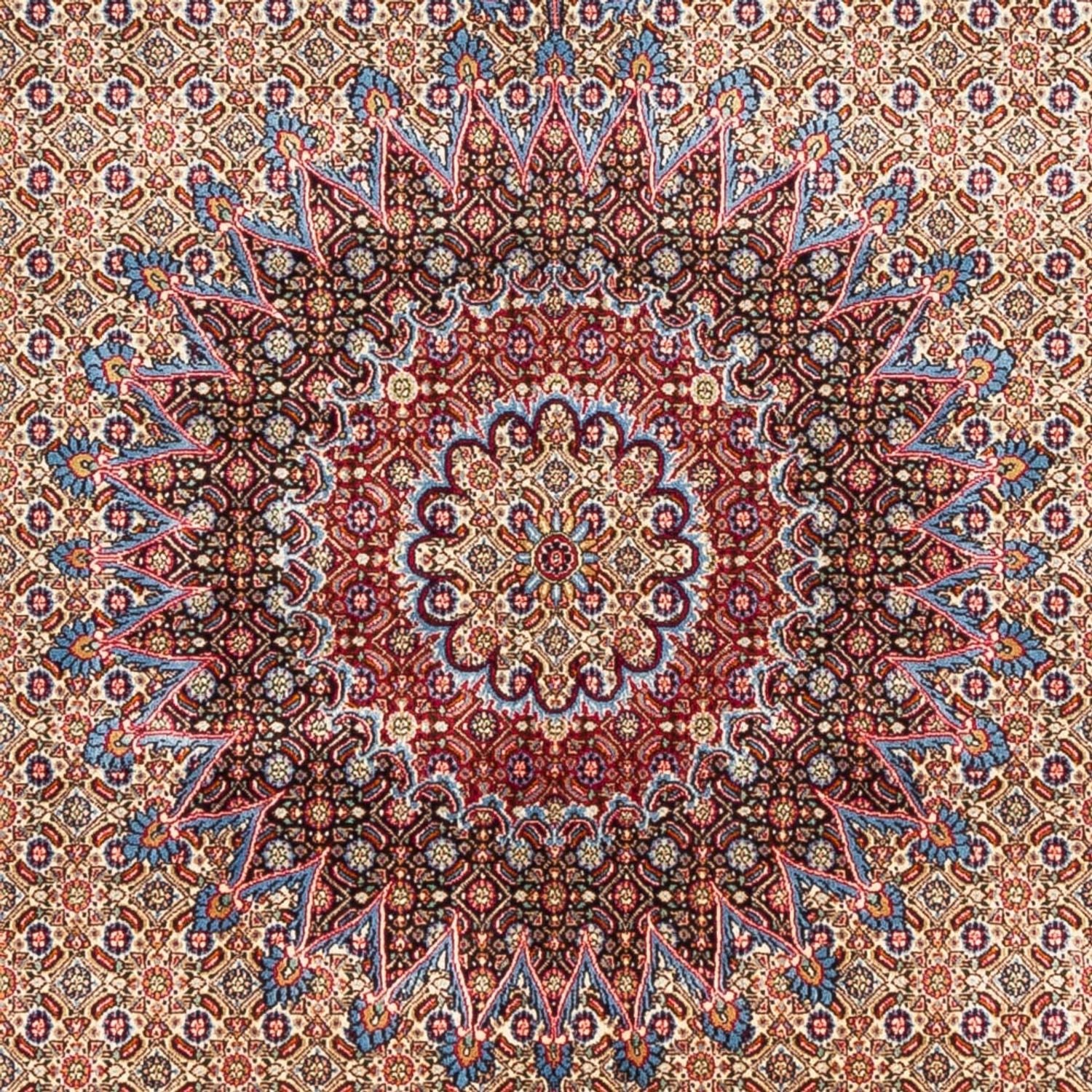 Moud Teppich - Perserteppich - Image 2