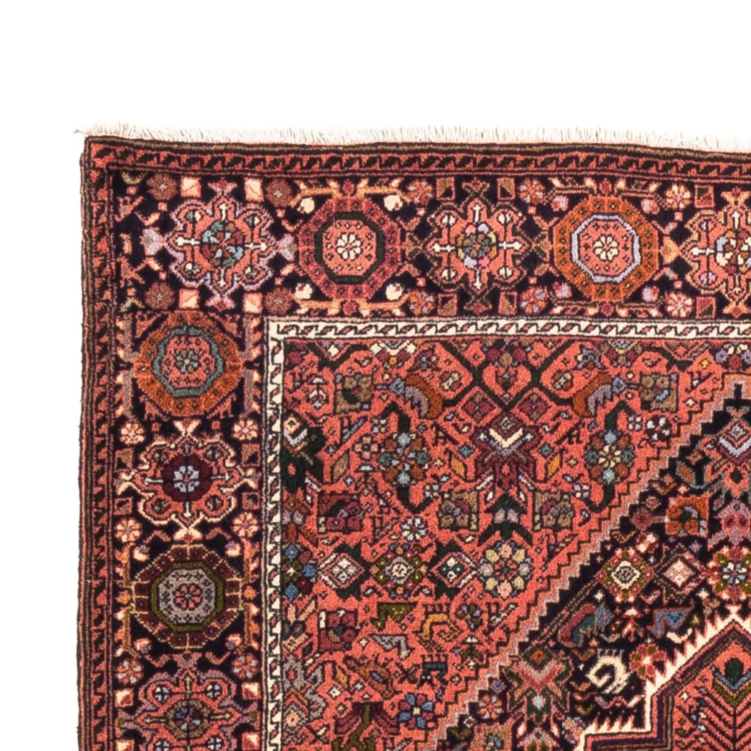 Gholtogh Teppich 147x100cm - Perserteppich - Image 3