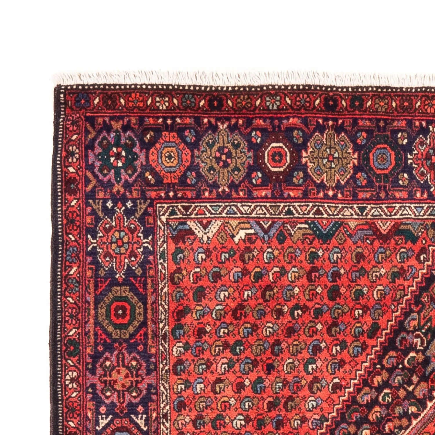 Gholtogh Teppich 148x100cm - Perserteppich - Image 3