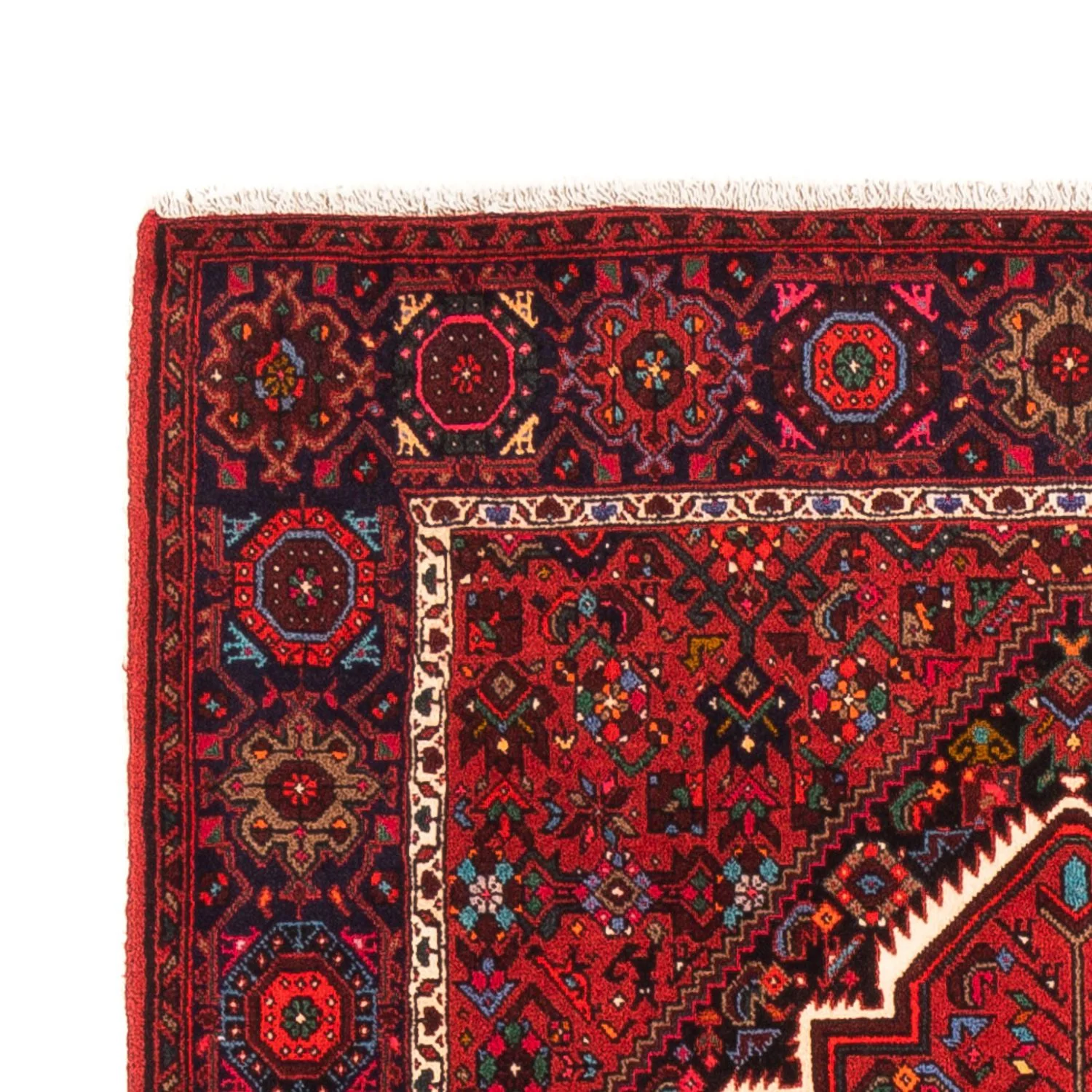 Gholtogh Teppich 150x102cm - Perserteppich - Image 3