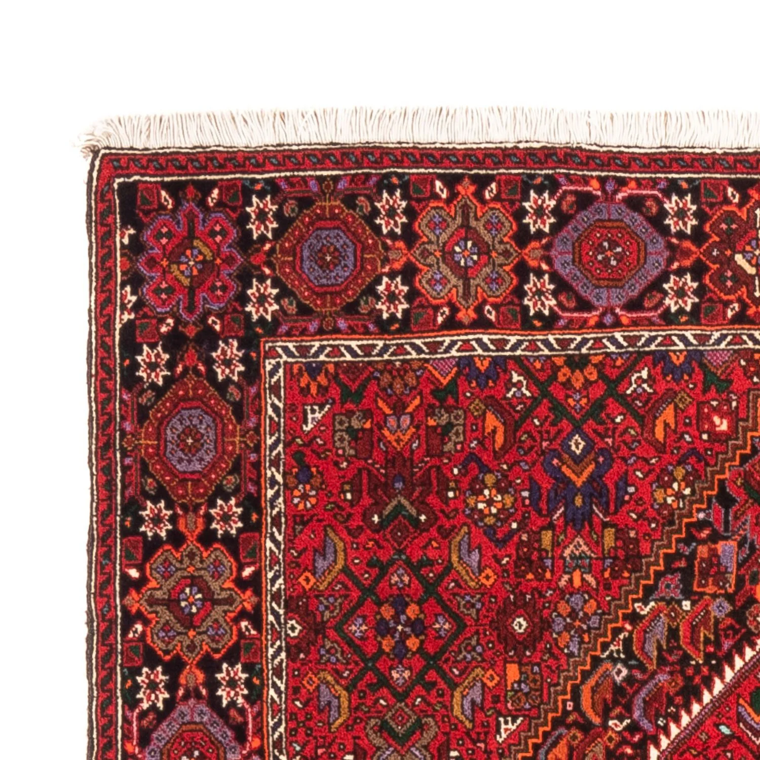 Gholtogh Teppich 150x105cm - Perserteppich - Image 3
