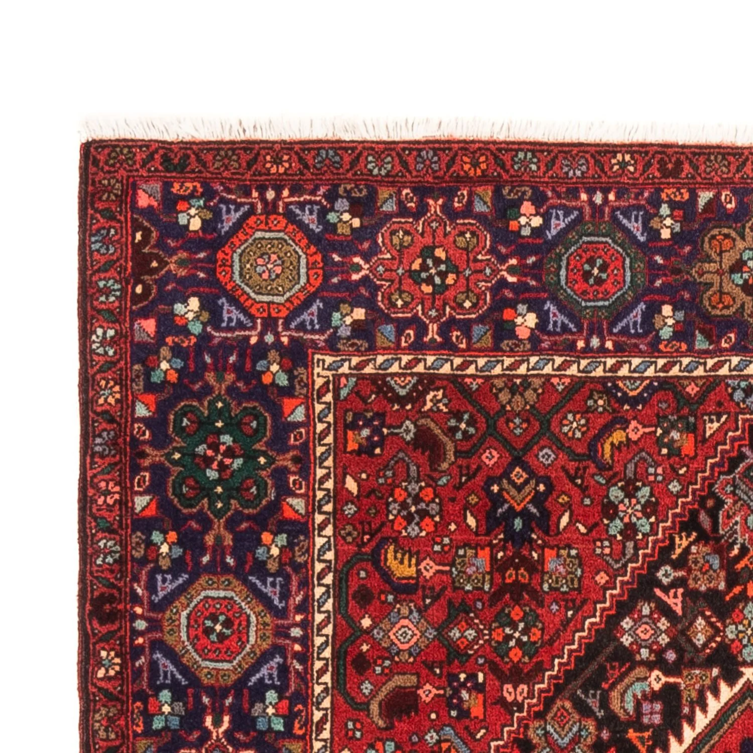 Gholtogh Teppich 152x100cm - Perserteppich - Image 3