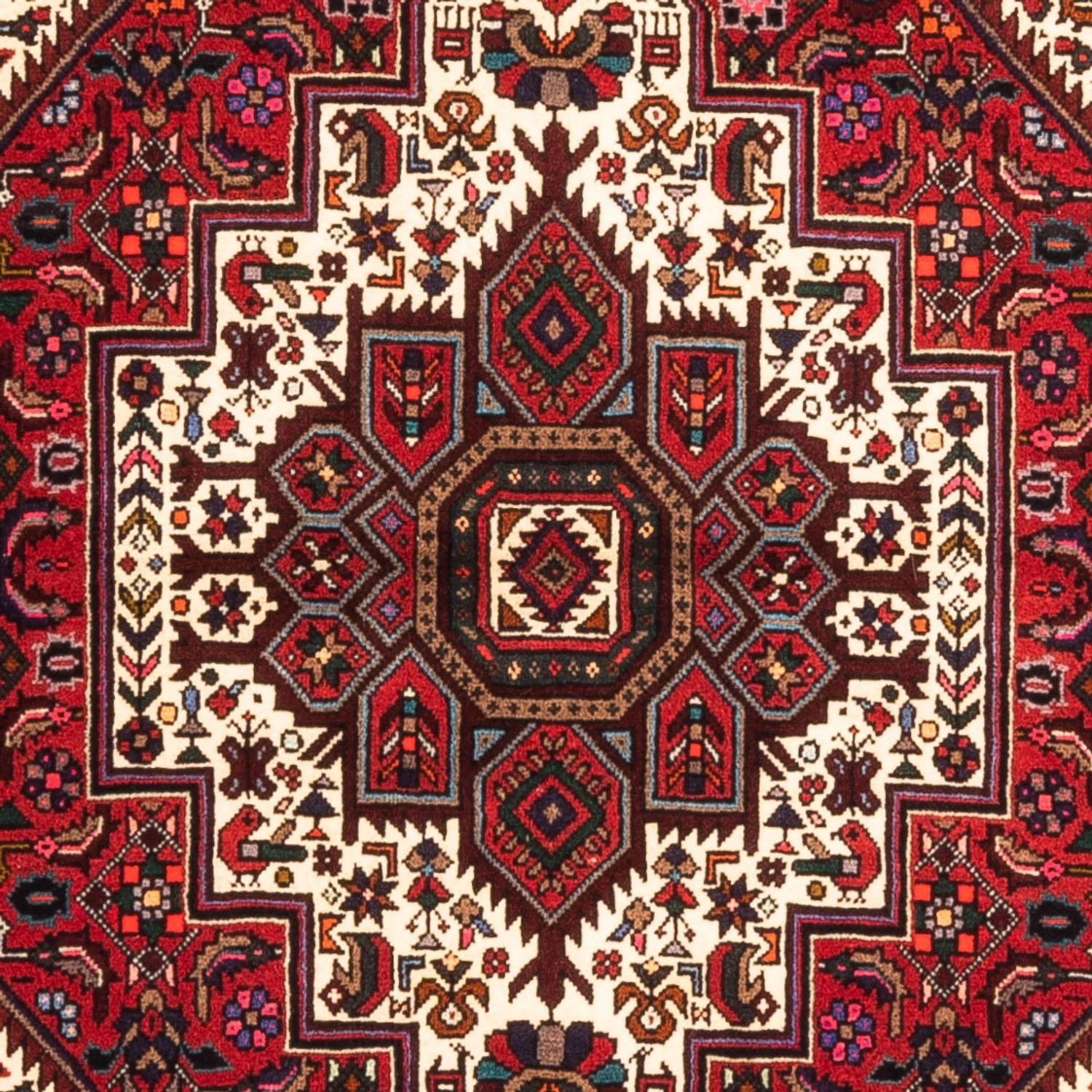 Gholtogh Teppich 152x100cm - Perserteppich - Image 2
