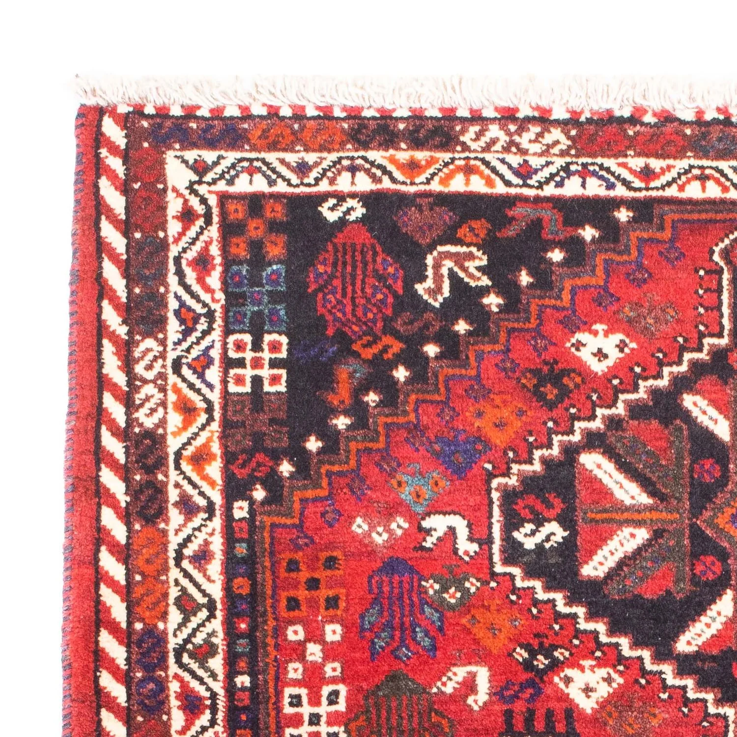 Perserteppich - Nomadic 153 x 120 cm - dunkelrot - Image 3