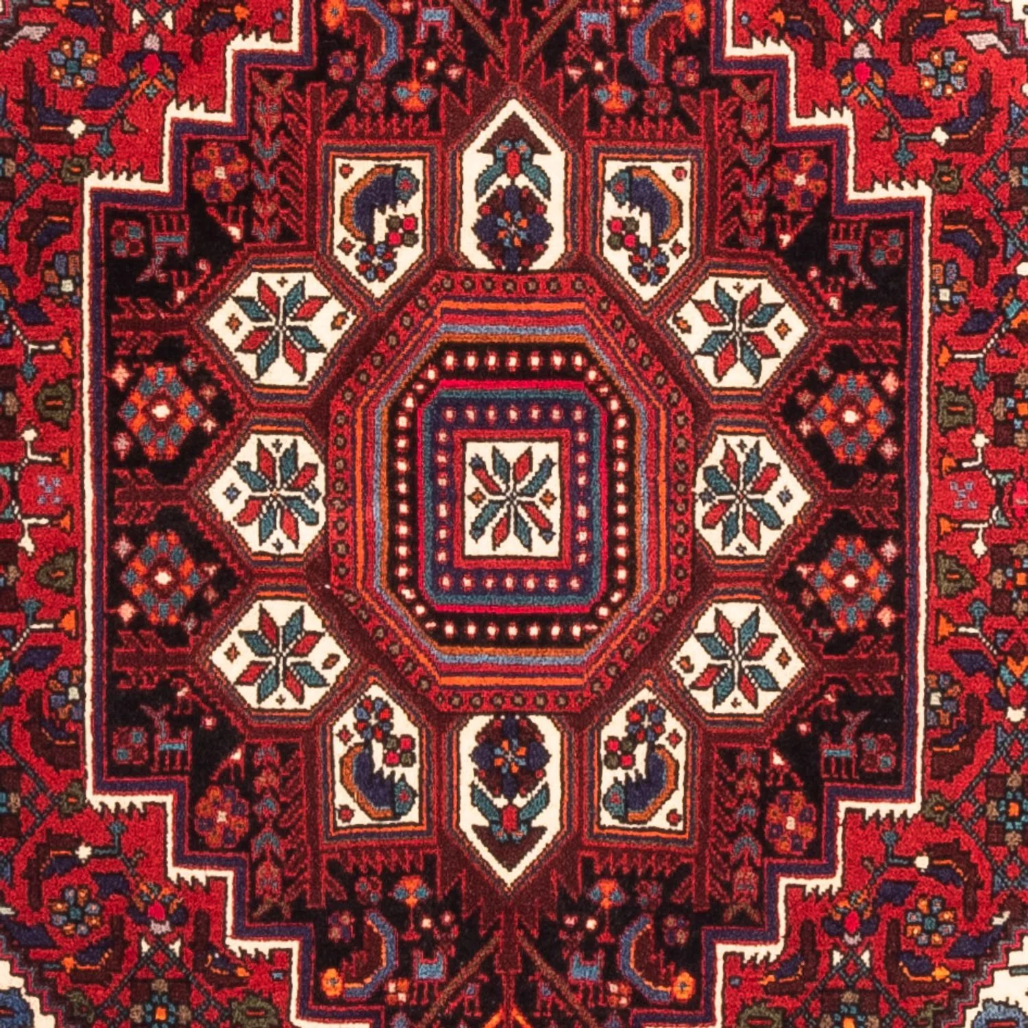 Gholtogh Teppich 155x100cm - Perserteppich - Image 2