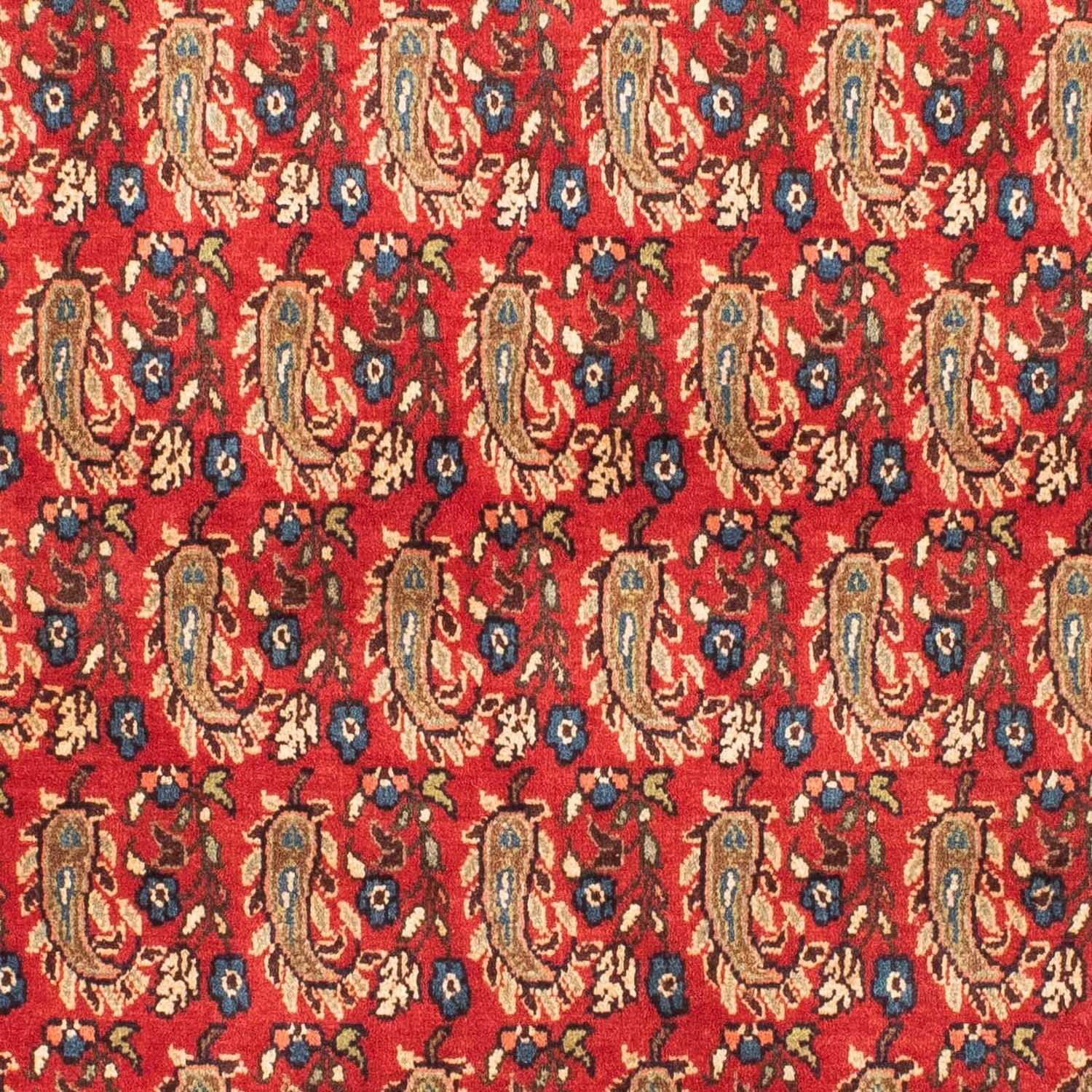 Shiraz Teppich 160x110cm - Perserteppich - Image 2