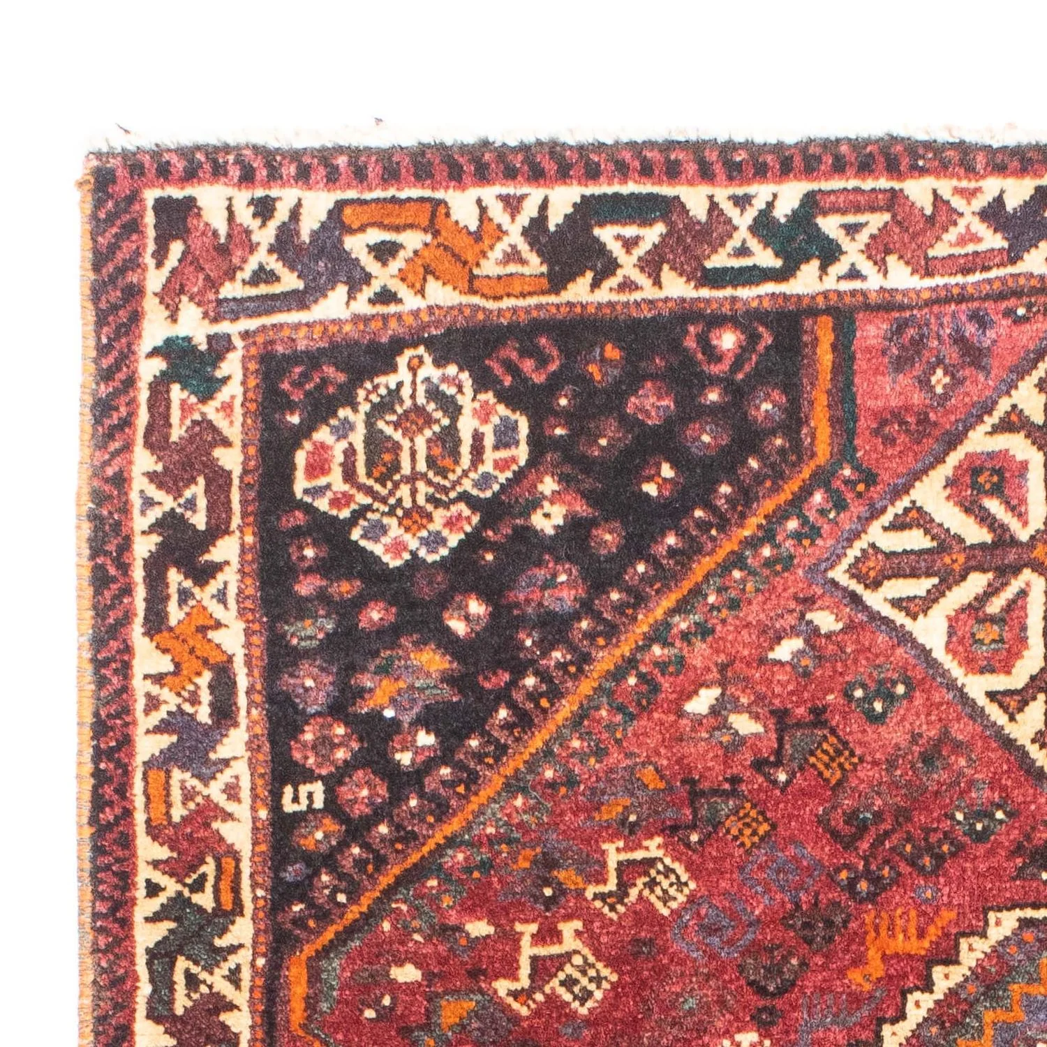 Shiraz Teppich 160x110cm - Perserteppich - Image 3