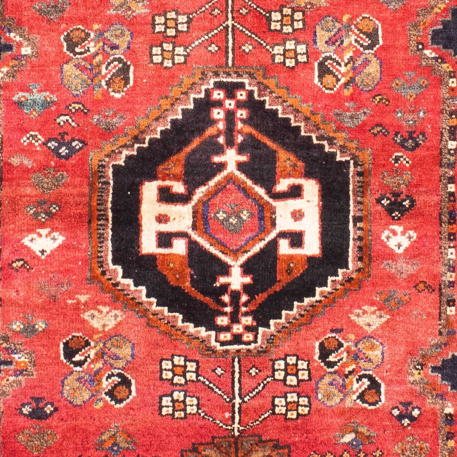 Shiraz Teppich 160x110cm - Perserteppich - Image 2
