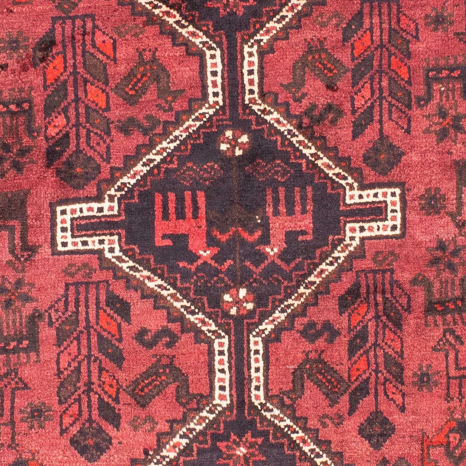 Shiraz Teppich 160x112cm - Perserteppich - Image 2