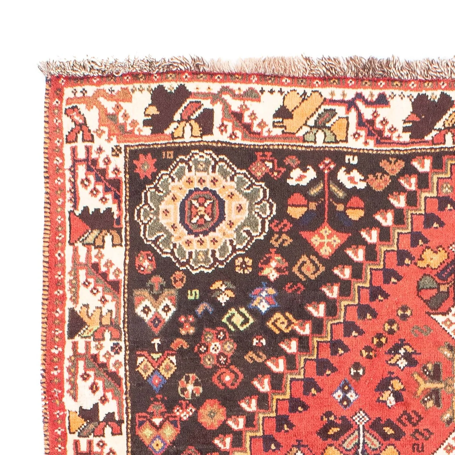 Shiraz Teppich 166x110cm - Perserteppich - Image 3