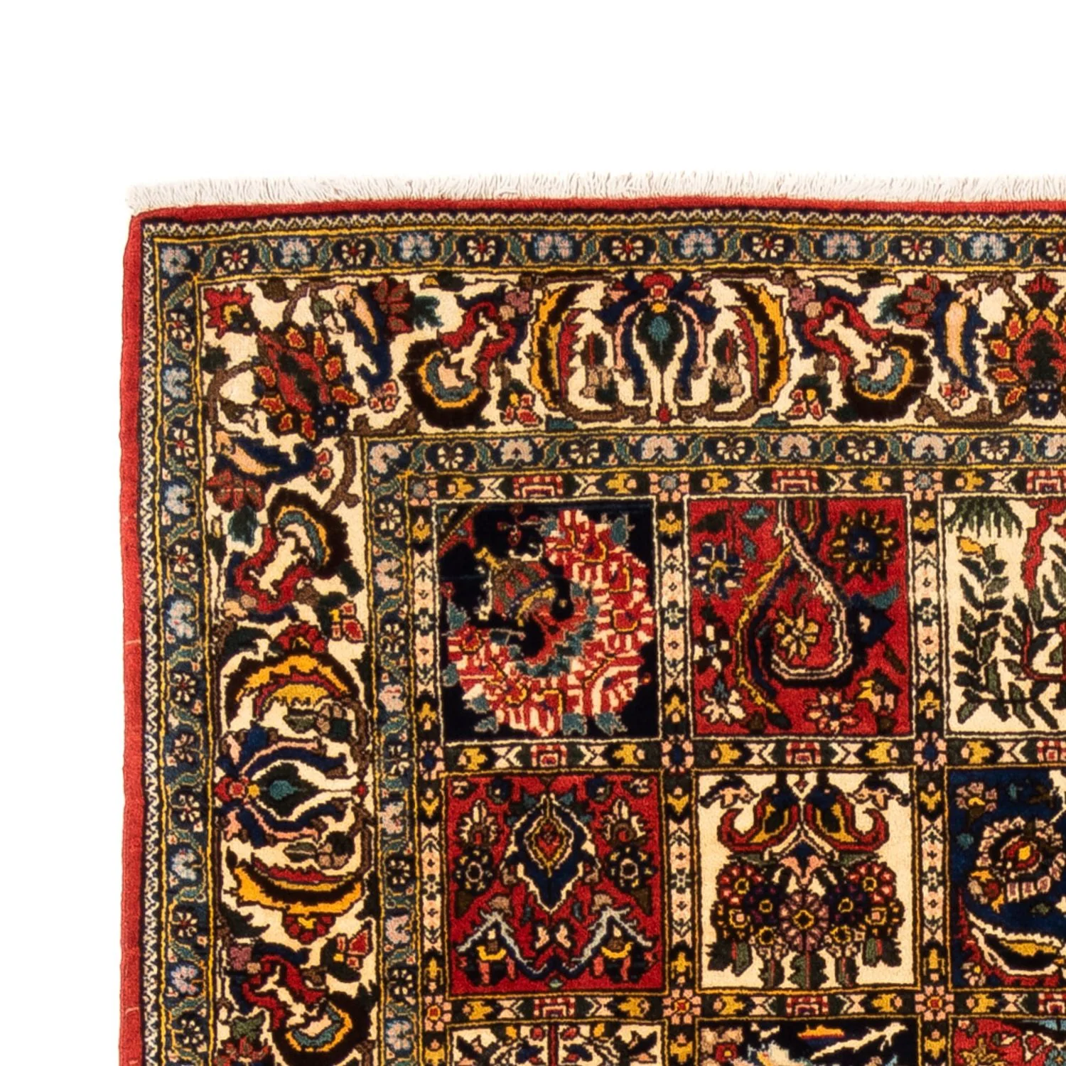 Bachtiar Teppich 250x155cm - Perserteppich - Image 3