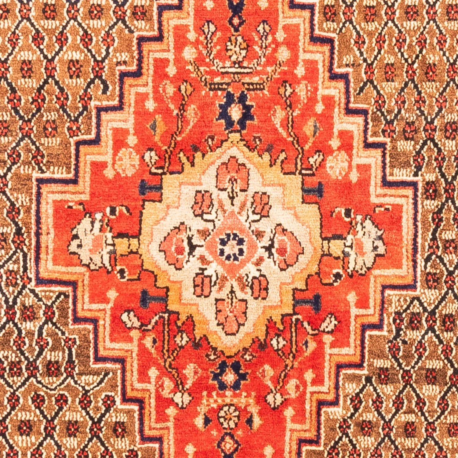 Kolyai Teppich 265x157cm - Perserteppich - Image 2
