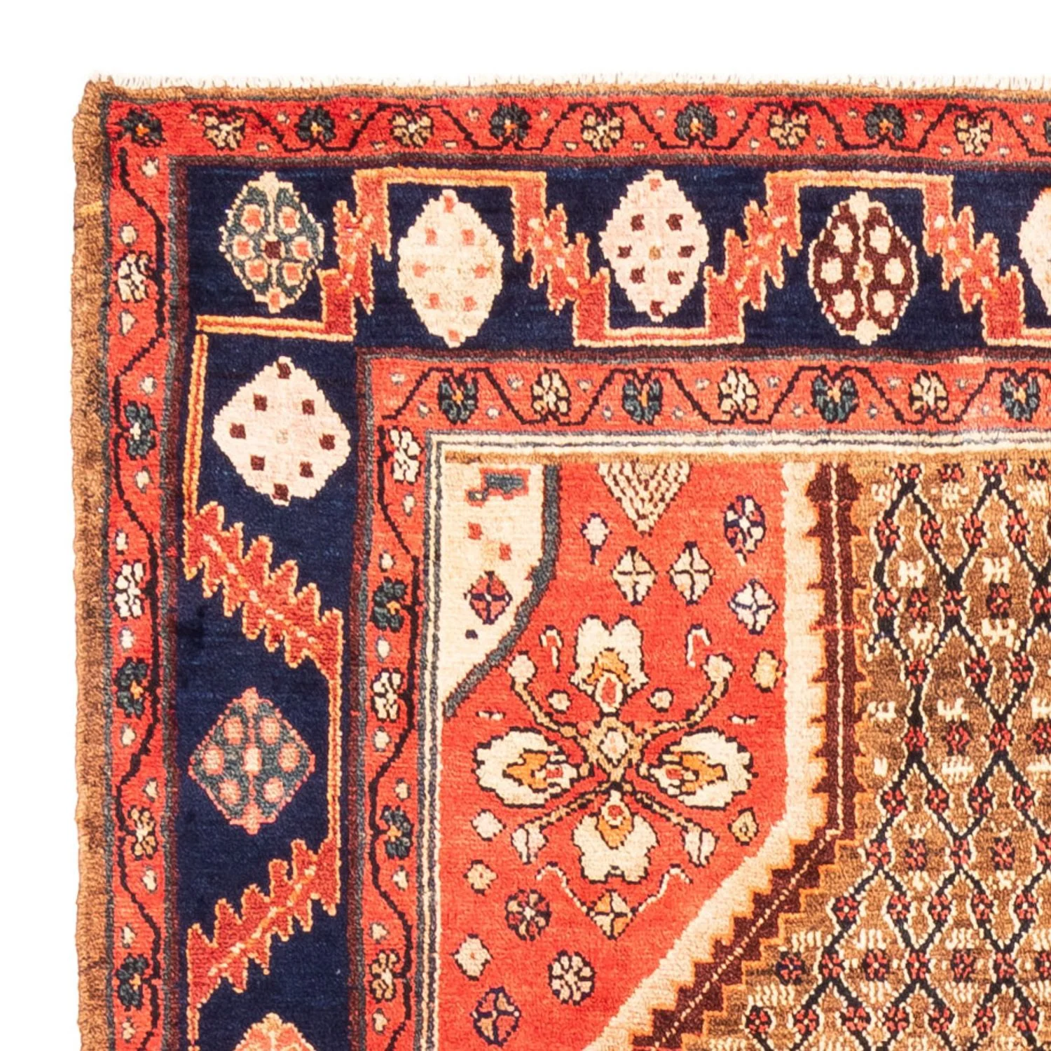 Kolyai Teppich 265x157cm - Perserteppich - Image 3