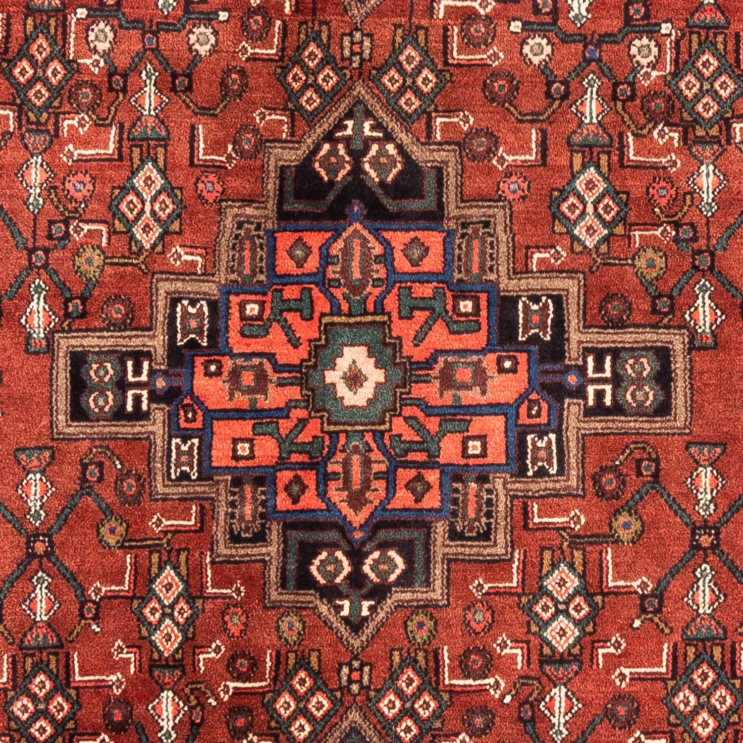 Kolyai Teppich 270x160cm - Perserteppich - Image 2