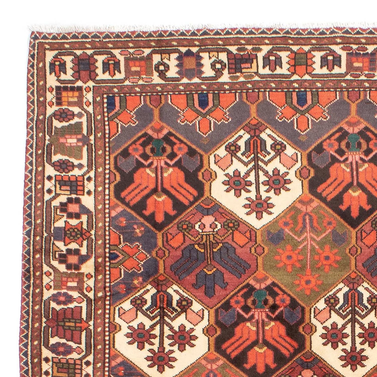Perserteppich - Nomadic 287 x 207 cm - braun - Image 3