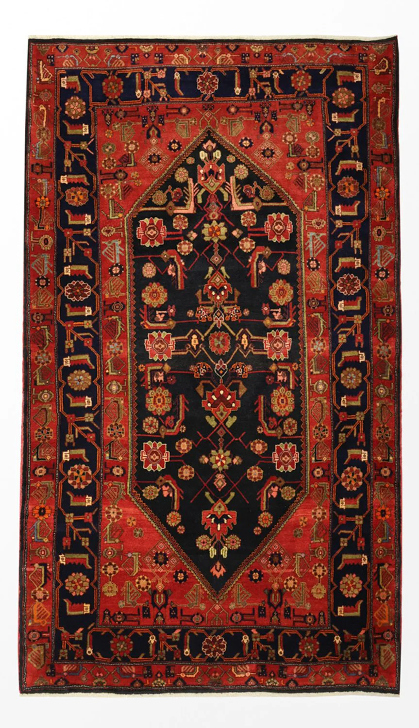 Kolyai Teppich 294x174cm - Perserteppich