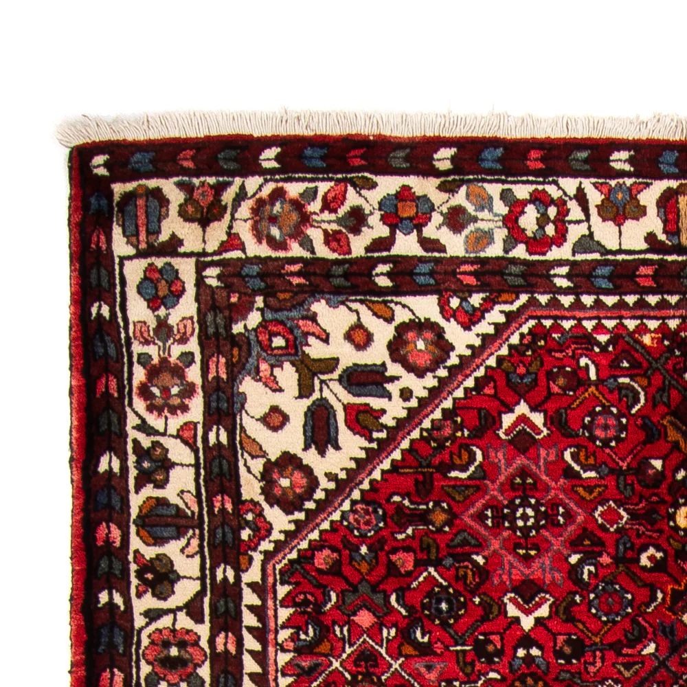 Hamadan Teppich 310x165cm - Perserteppich - Image 3