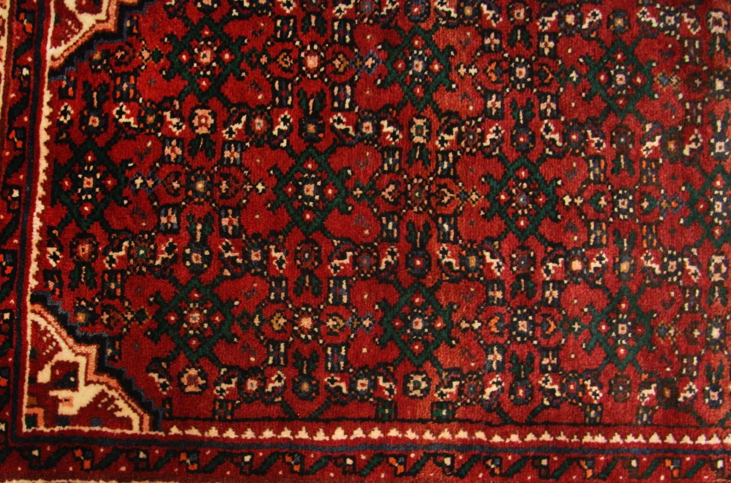 Perserteppich - Nomadic 587 x 86 cm - braun - Image 2