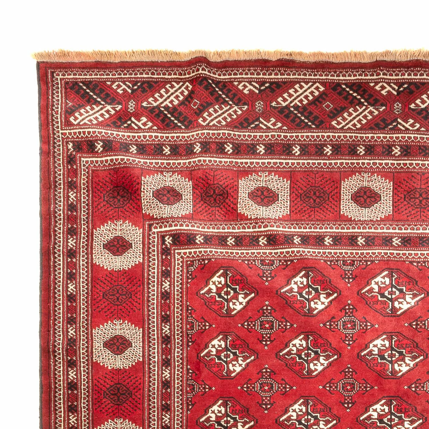 Turkaman Teppich 391x270cm - Orientteppich - Image 3