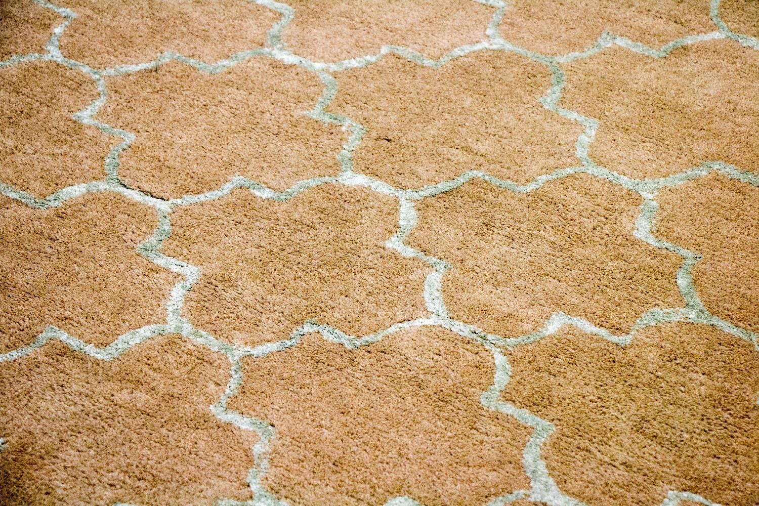 Wollteppich 244 x 155 cm Teppich Wohnzimmer - Image 5