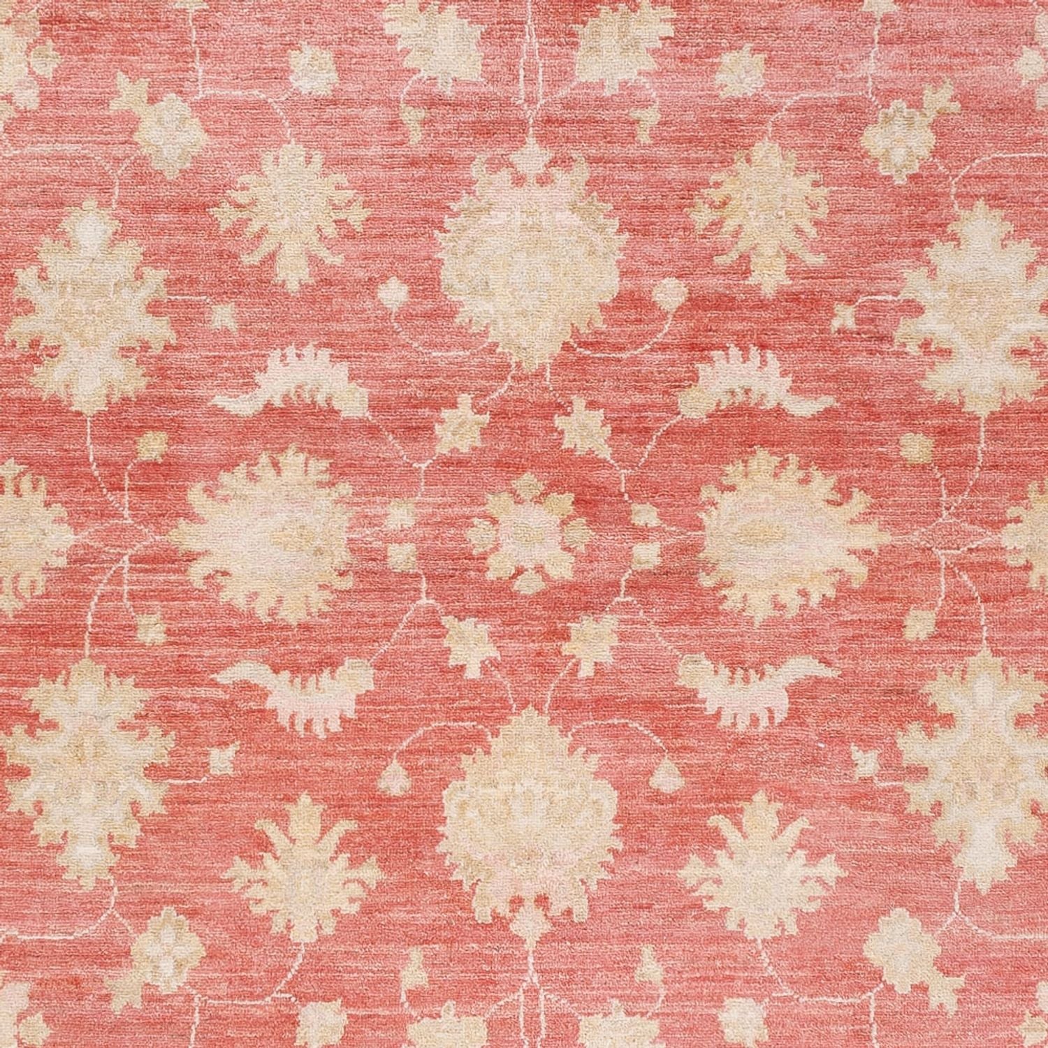 Ziegler Teppich 248x174cm - Orientteppich - Image 2