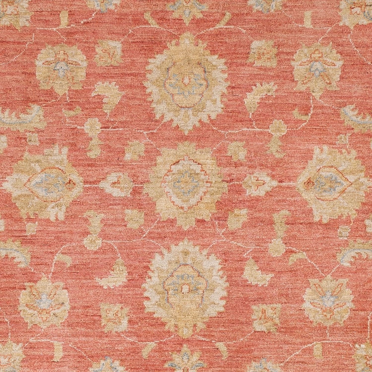 Ziegler Teppich 291x250cm - Orientteppich - Image 2