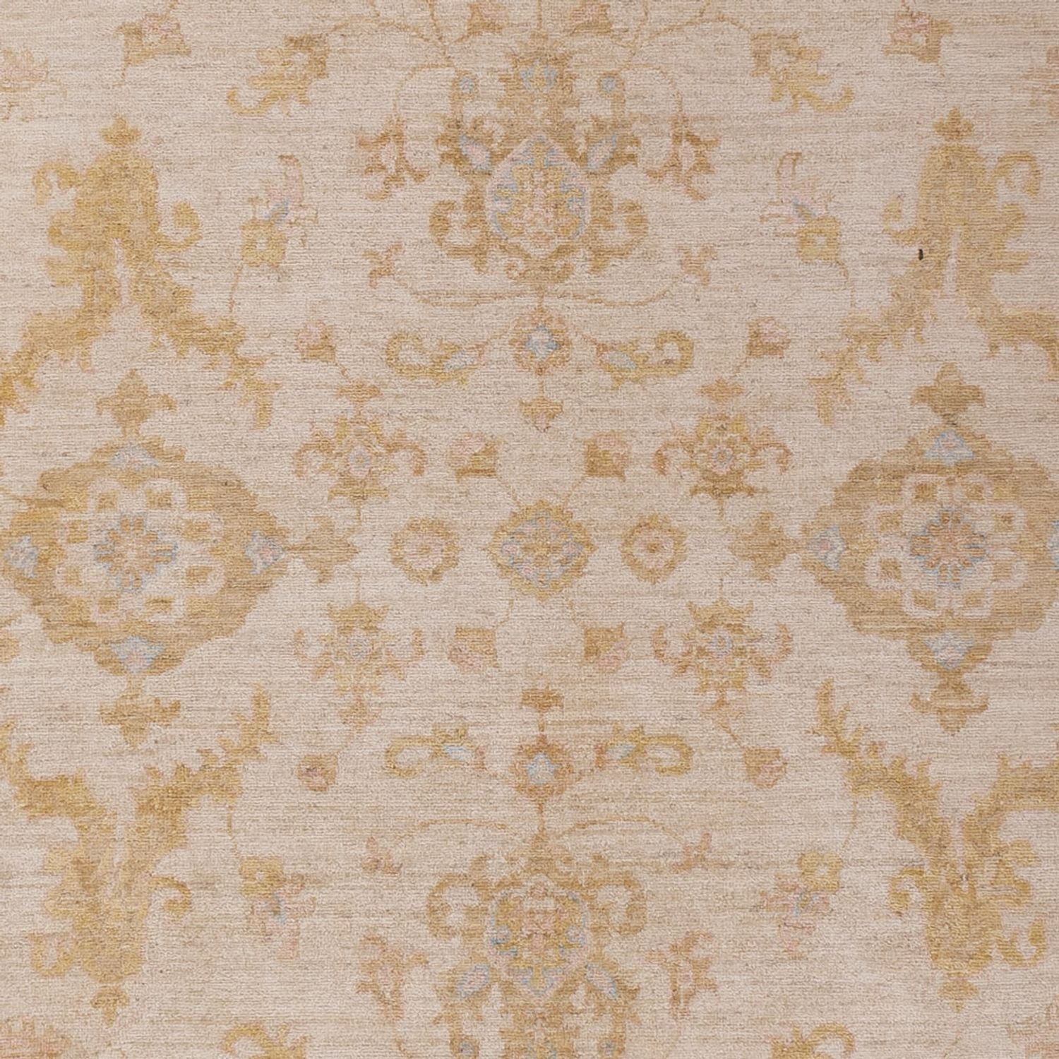 Ziegler Teppich - 295 x 210 cm - beige - Image 2