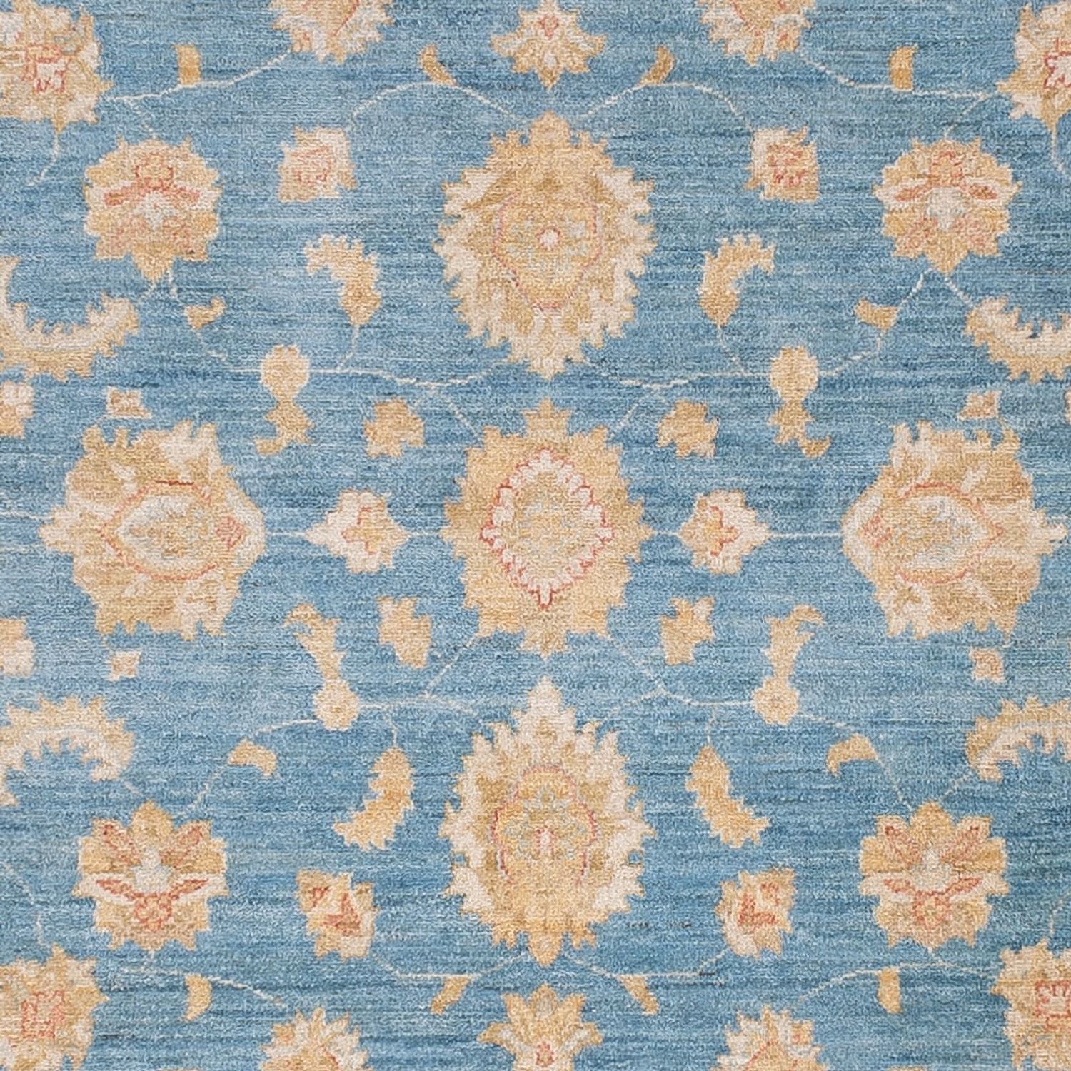 Ziegler Teppich - 298 x 250 cm - hellblau - Image 2