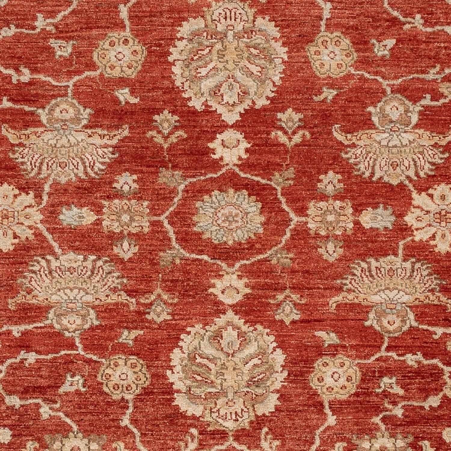 Ziegler Teppich 298x256cm - Orientteppich - Image 2