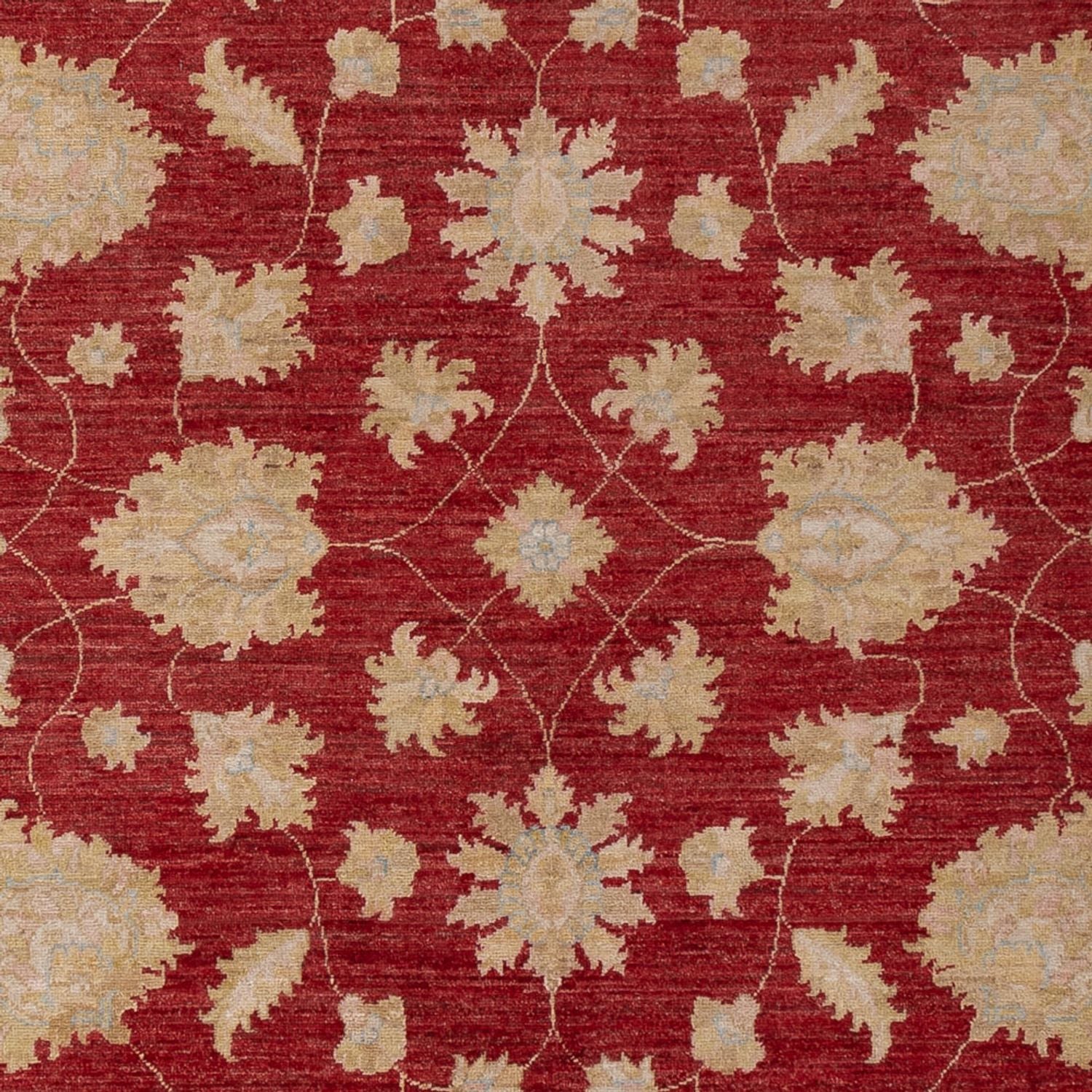 Ziegler Teppich 299x206cm - Orientteppich - Image 2