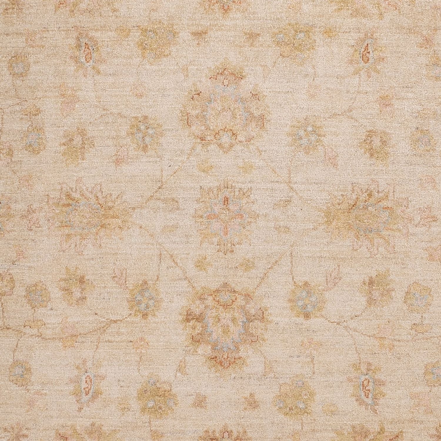 Ziegler Teppich - 301 x 257 cm - beige - Image 2