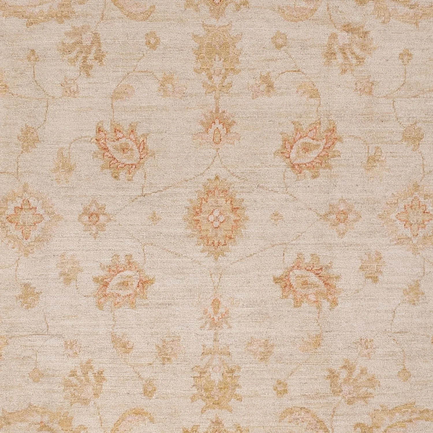 Ziegler Teppich - 302 x 258 cm - beige - Image 2