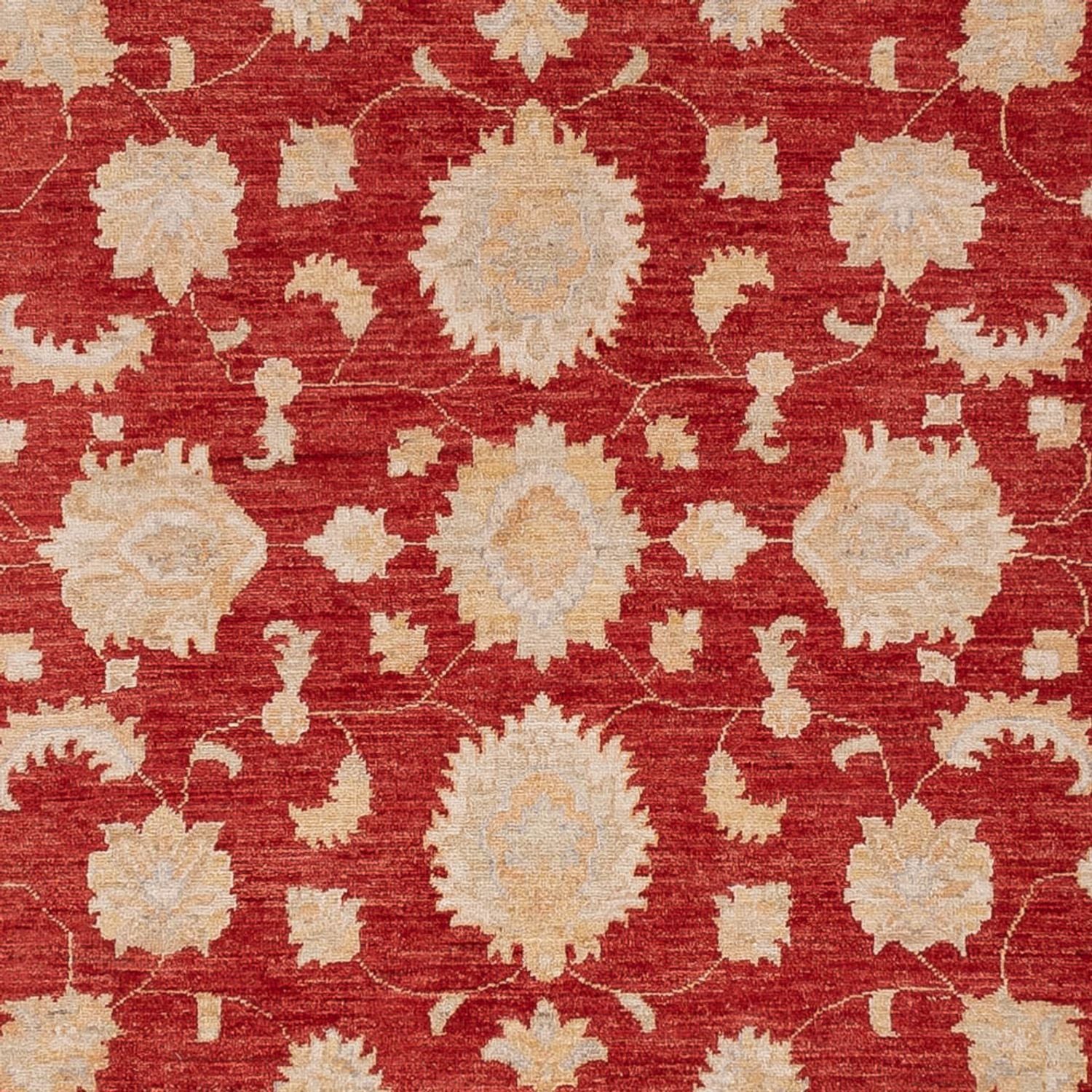 Ziegler Teppich - 303 x 250 cm - rot - Image 2