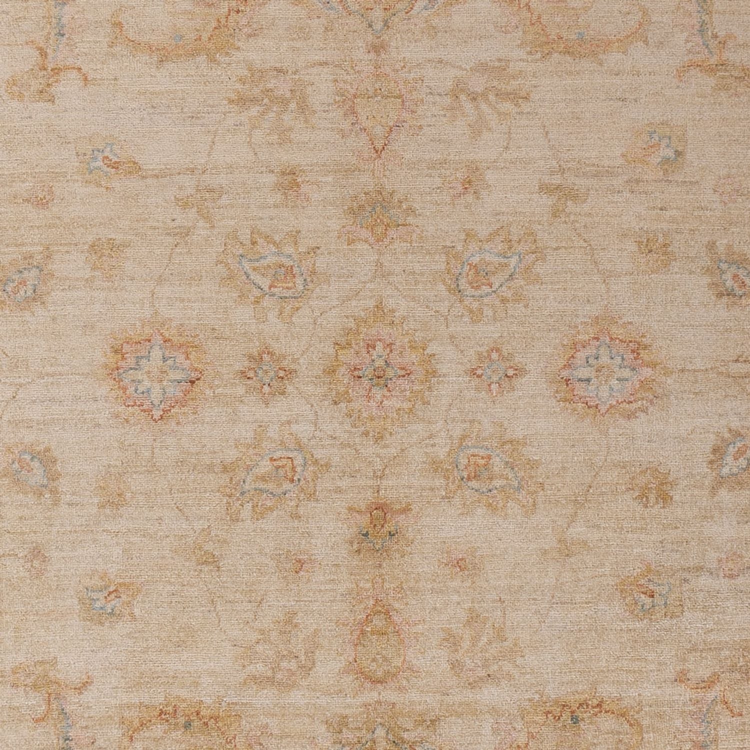 Ziegler Teppich - 304 x 206 cm - beige - Image 2
