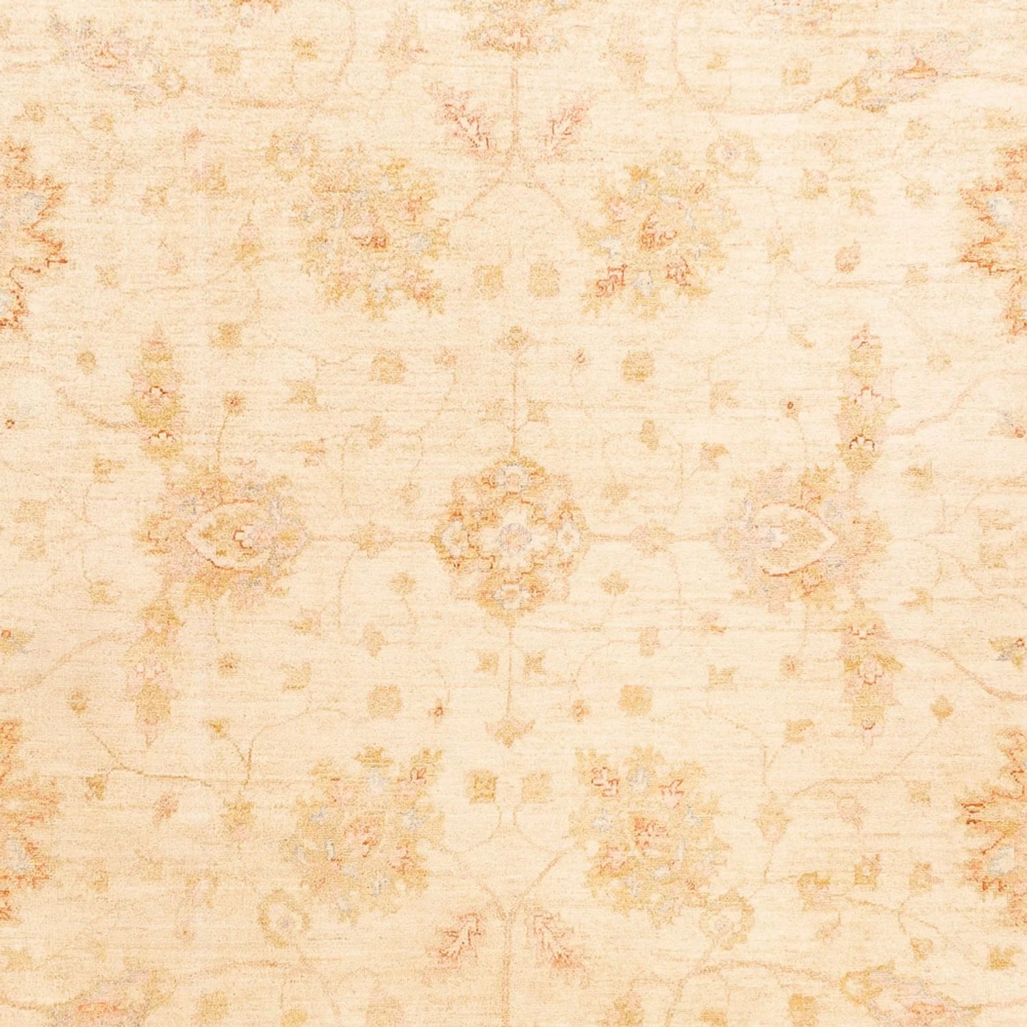 Ziegler Teppich - 326 x 244 cm - beige - Image 2