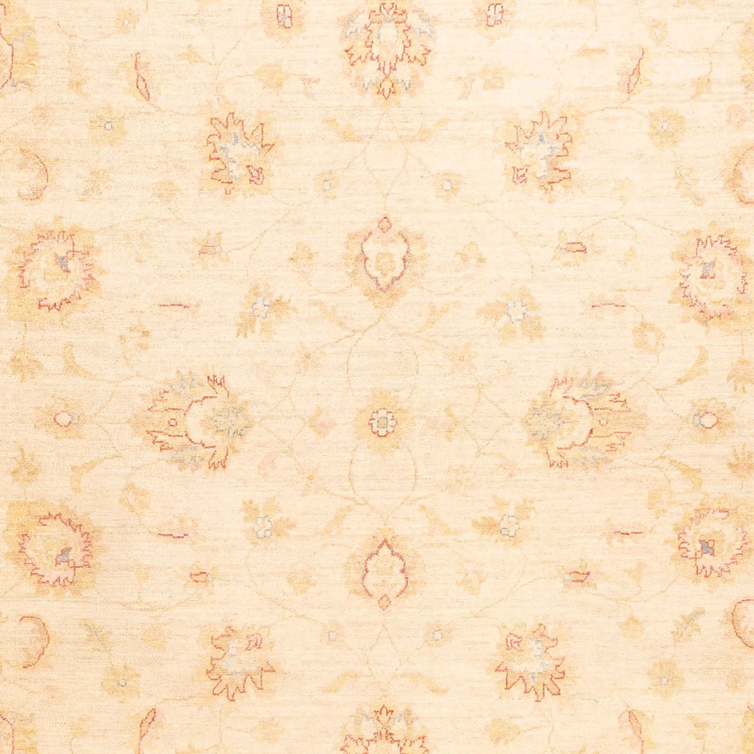 Ziegler Teppich - 338 x 251 cm - beige - Image 2