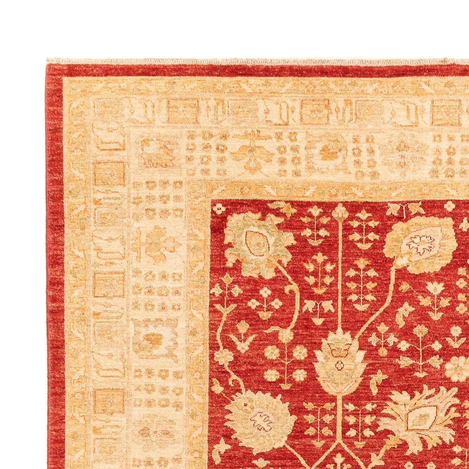 Ziegler Teppich - 340 x 254 cm - rot - Image 3