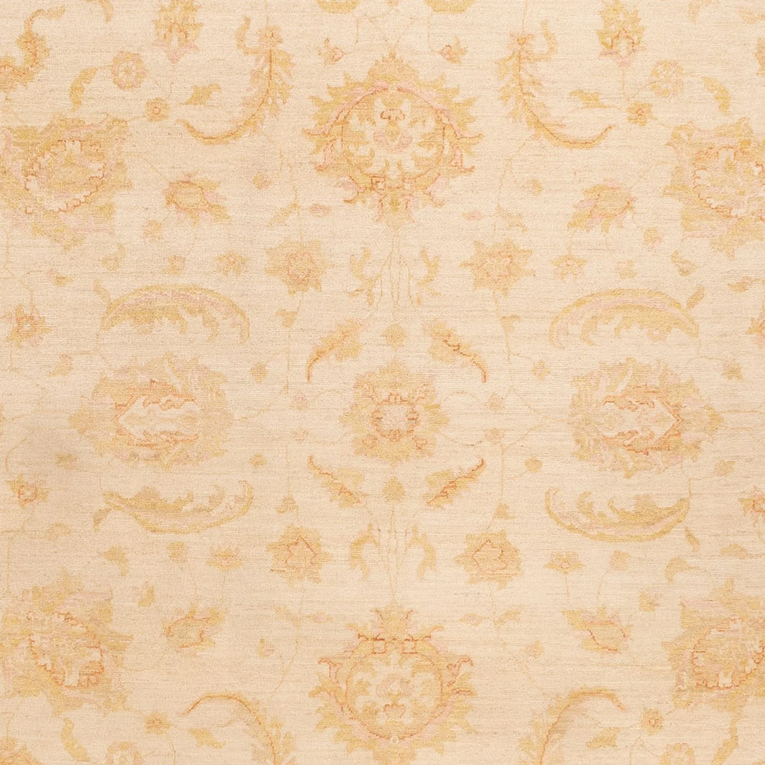 Ziegler Teppich - 342 x 256 cm - beige - Image 2