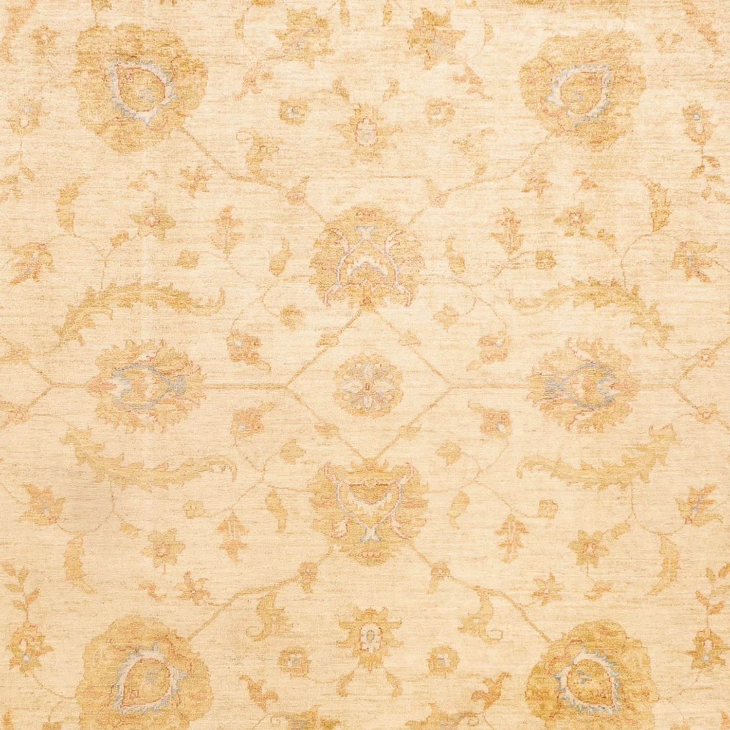 Ziegler Teppich - 345 x 255 cm - beige - Image 2