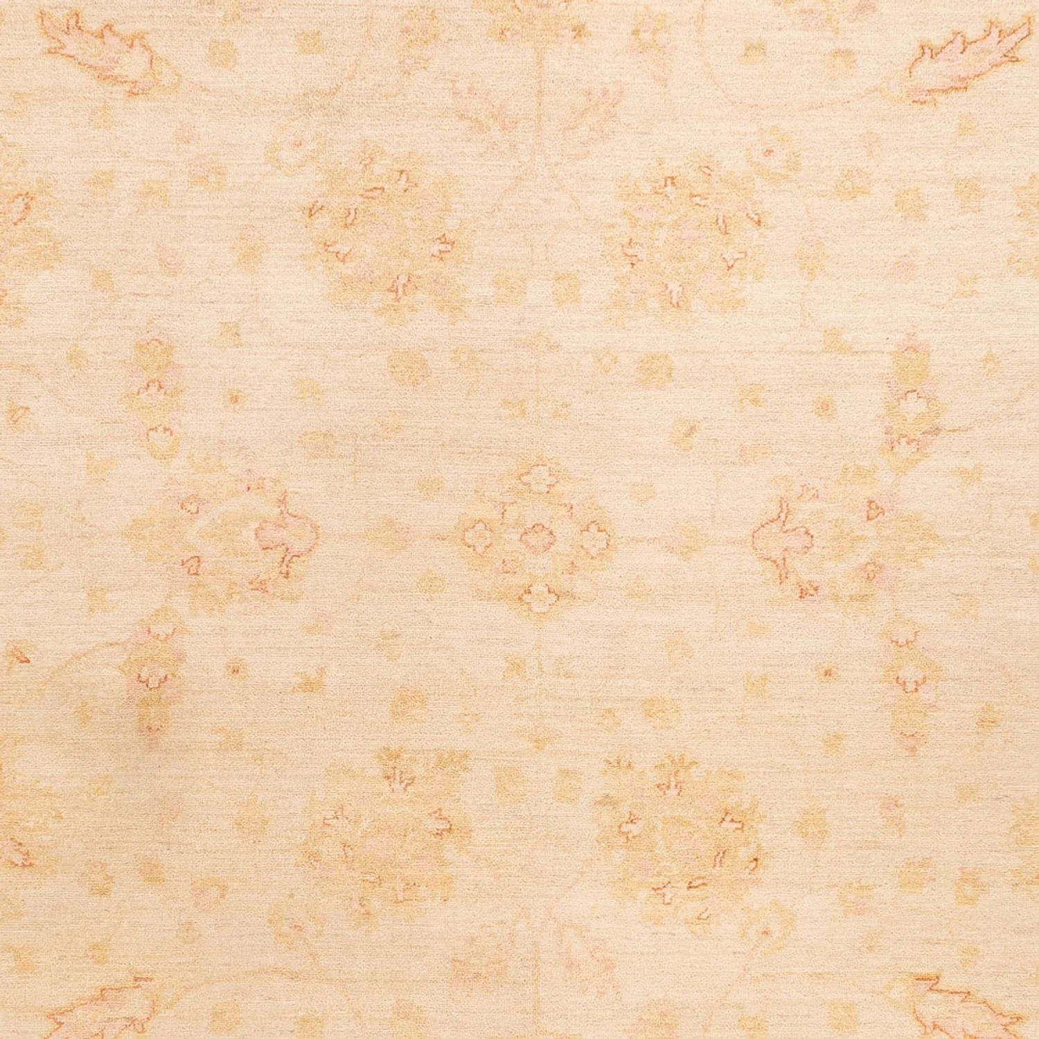 Ziegler Teppich - 345 x 257 cm - hellbeige - Image 2