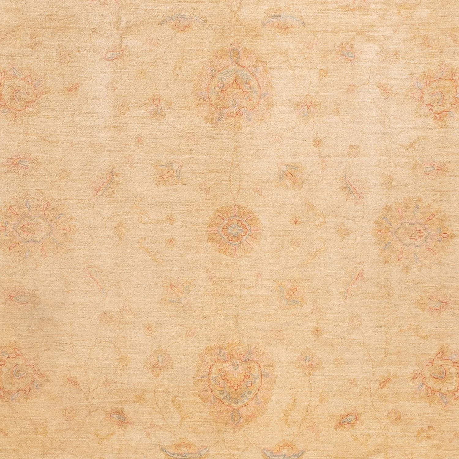 Ziegler Teppich - 350 x 252 cm - beige - Image 2