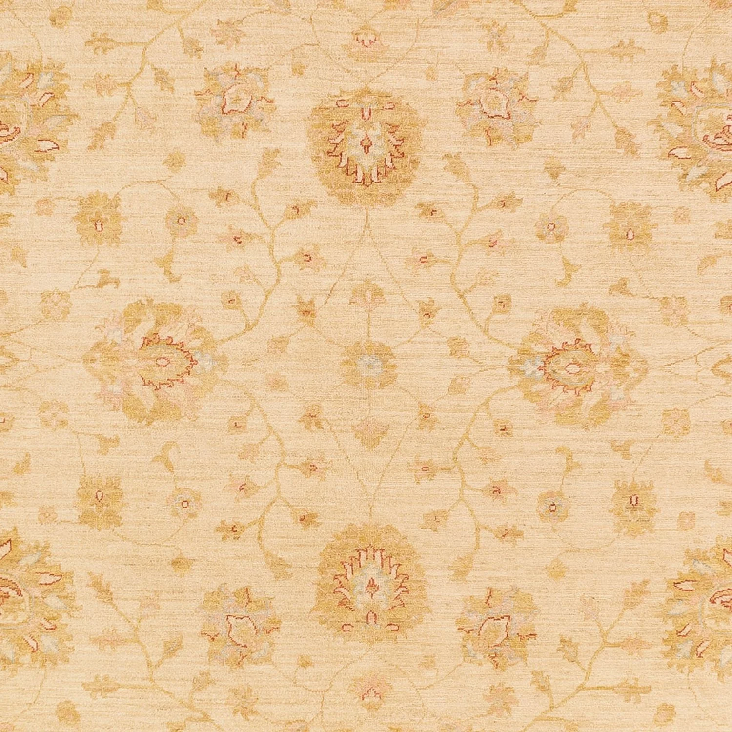 Ziegler Teppich 365x273cm - Orientteppich - Image 2