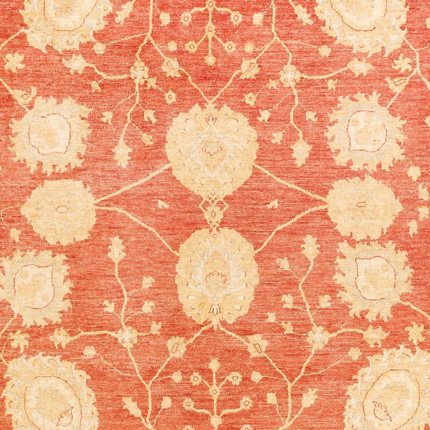 Ziegler Teppich - 366 x 277 cm - rot - Image 2