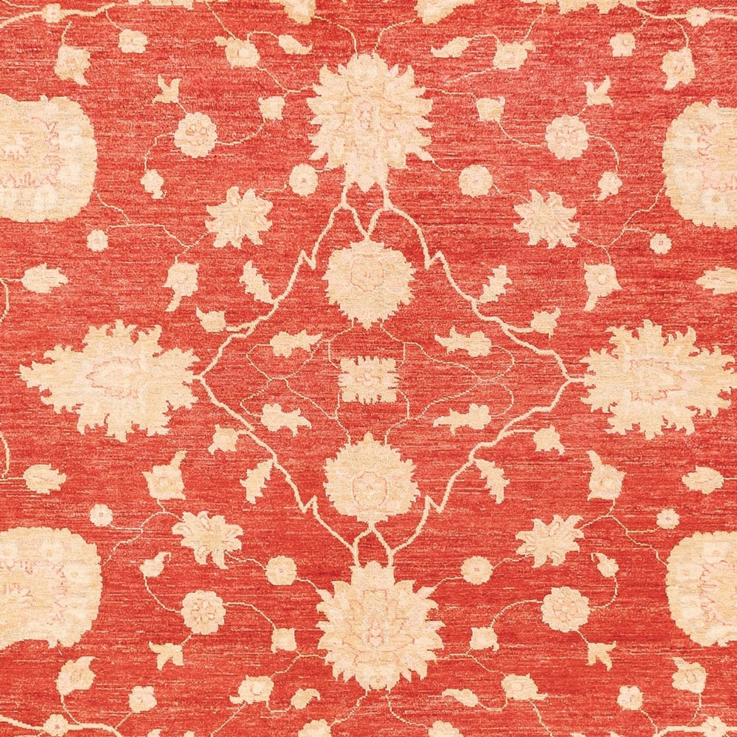 Ziegler Teppich - 373 x 274 cm - rot - Image 2