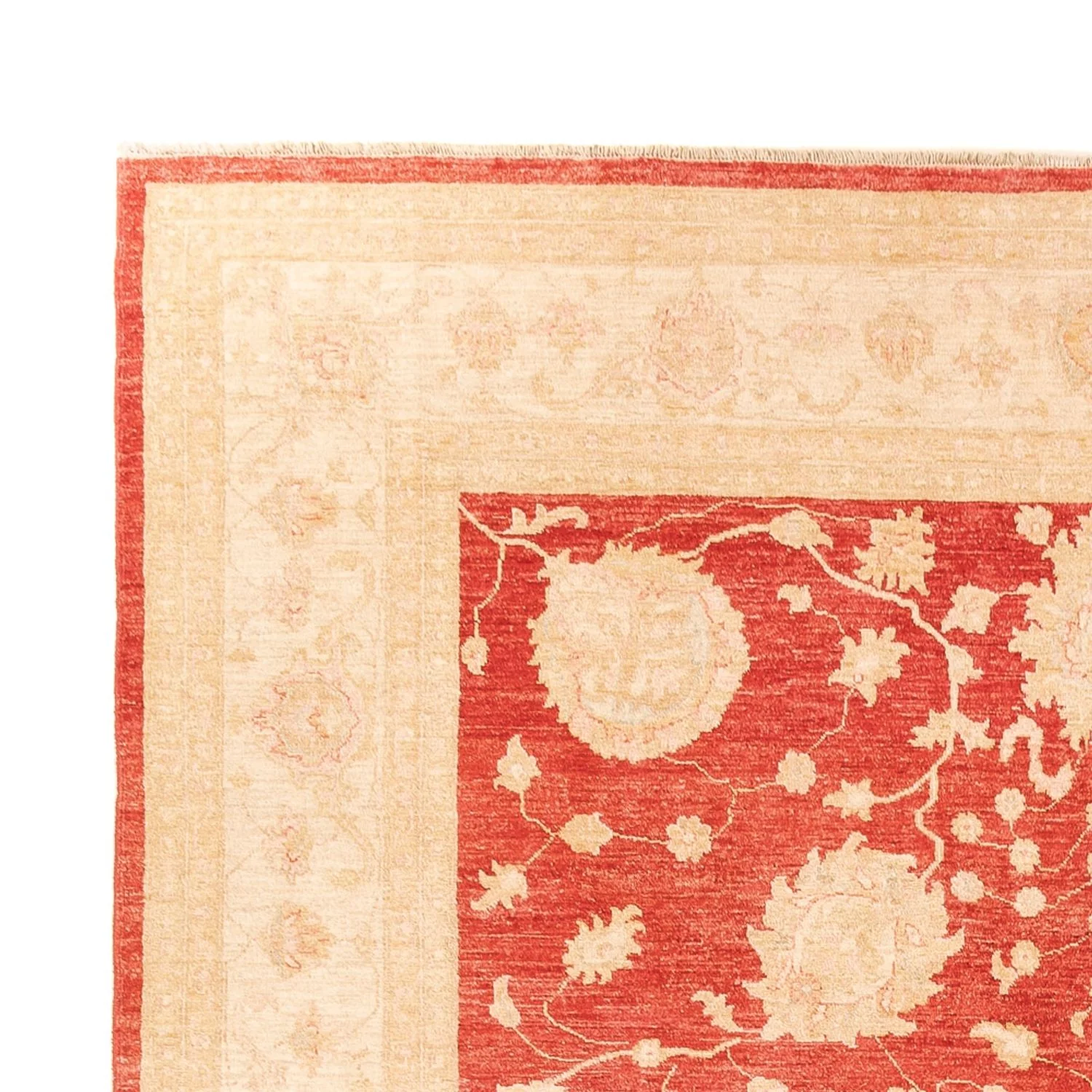 Ziegler Teppich - 373 x 274 cm - rot - Image 3