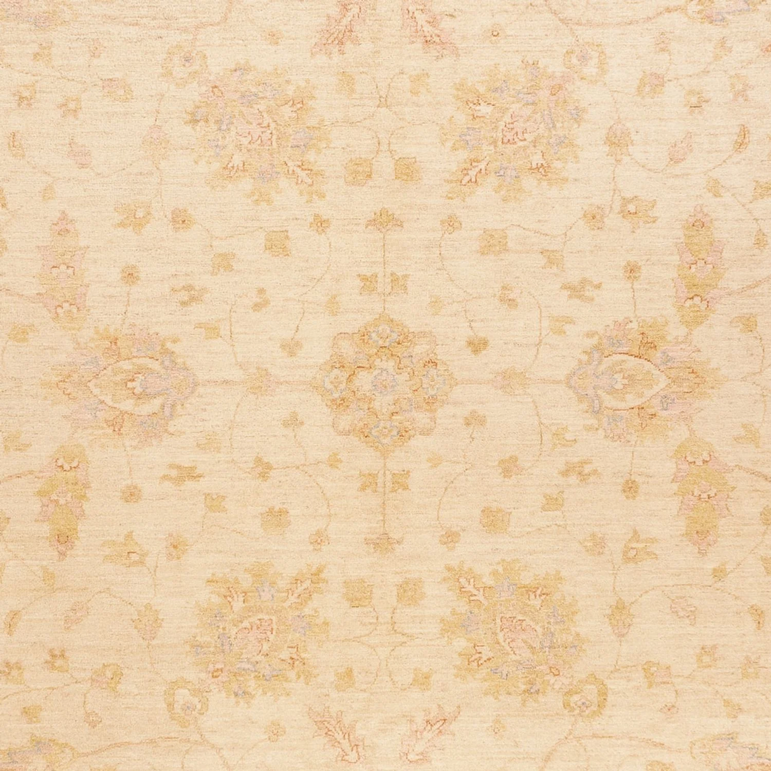 Ziegler Teppich - 394 x 305 cm - beige - Image 2